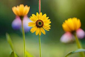 gul blomma i de trädgård. ai-genererad foto