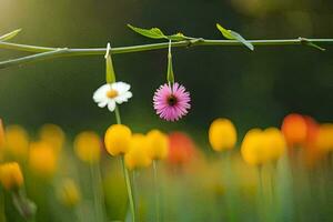 en blomma hängande från en gren i en fält. ai-genererad foto