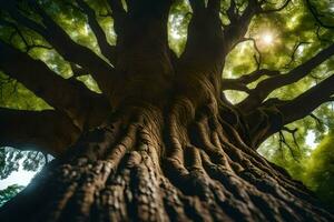 de Sol lyser genom de trunk av en stor träd. ai-genererad foto