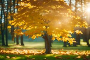 höst träd i de parkera med Sol lysande genom löv. ai-genererad foto