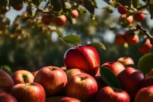en lugg av äpplen på en träd med en röd äpple. ai-genererad foto