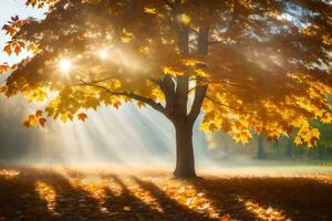 solstrålar glans genom de löv av ett höst träd. ai-genererad foto
