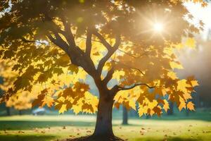 en träd med gul löv i de Sol. ai-genererad foto