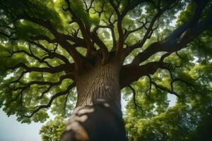 de världens högsta träd är en baobab i söder afrika. ai-genererad foto