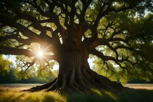 de Sol lyser genom de trunk av ett gammal ek träd. ai-genererad foto