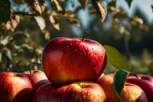 äpplen är staplade på topp av varje Övrig i ett äpple fruktträdgård. ai-genererad foto