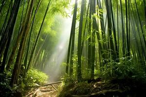 se av botanisk grön bambu tropisk skog i dagsljus. orientalisk bambu lund i Kina japansk begrepp förbi ai genererad foto