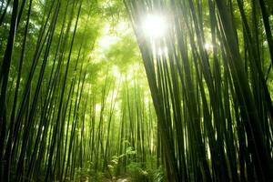 se av botanisk grön bambu tropisk skog i dagsljus. orientalisk bambu lund i Kina japansk begrepp förbi ai genererad foto