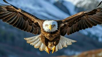 Örn fritt flygande under de solljus och blå himmel. predatory fågel jakt i safari öst afrika begrepp förbi ai genererad foto