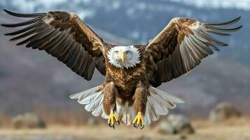 Örn fritt flygande under de solljus och blå himmel. predatory fågel jakt i safari öst afrika begrepp förbi ai genererad foto