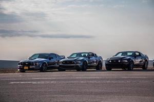 stad, land, mmm dd, åååå - ford mustangs på en racerbana foto