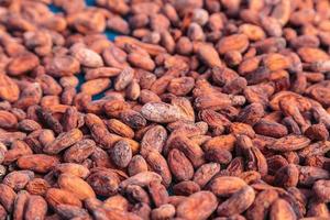 torkad och soltorkad kakaobönor bakgrund foto