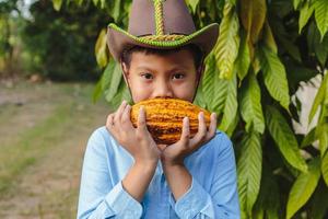 färska kakaopulver i jordbrukarnas händer foto