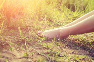 fötter på en ung kvinna som ligger i ett gräs foto
