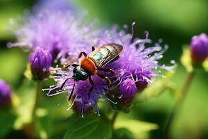 närbild skott av en skalbagge på lila ageratum, ai generativ foto