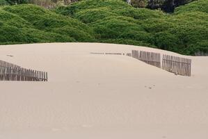 trä- staket på folktom strand sanddyner i tarifa, Spanien foto