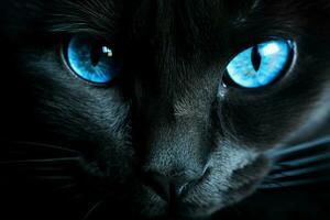 slående svart katt blå ögon. generera ai foto