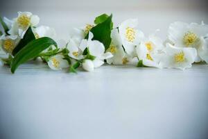 trä- bakgrund med blomning vit jasmin och tömma Plats foto