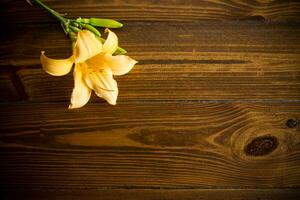 bukett av skön gul liljor på trä- tabell foto