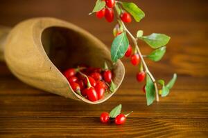 gren med mogen röd goji bär på trä- tabell foto