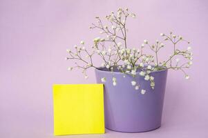 klistermärken för skrivande, anteckningsblock attrapp för skrivning på de tabell med Gypsophila i en blomma pott foto