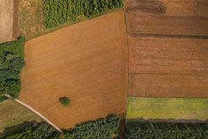 Flygfoto över fält på polska landsbygden under sommaren foto