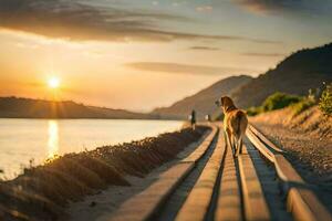 en hund gående längs en trä- promenaden på solnedgång. ai-genererad foto