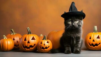 söt katt , halloween tema på isolerat bakgrund.glad halloween koncept.skapats med generativ ai teknologi foto