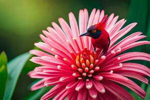 en röd fågel uppflugen på topp av en rosa blomma. ai-genererad foto