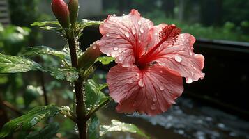 en rosa blomma med vatten droppar på den ai generativ foto