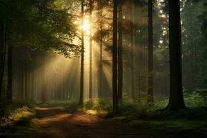 solbelyst skog med genomträngande solljus. generativ ai foto