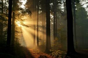 morgon- ljus kissing skog trädtopparna. generativ ai foto