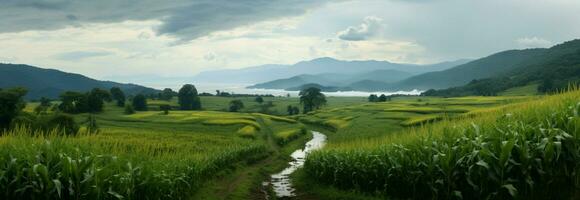 naturskön skönhet en regnig säsong panorama av grönskande majs fält ai genererad foto
