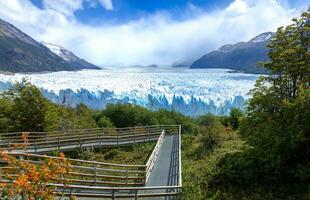 argentina, patagonien, el kalefat perito moreno glaciär i glaciärer nationell parkera los glaciärer foto