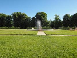kunglig trädgård i Turin foto