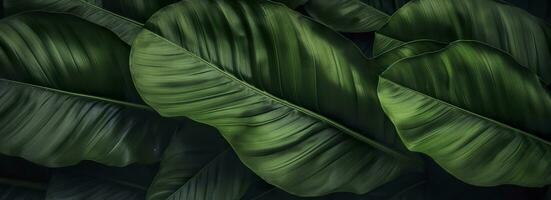 abstrakt grön blad textur med natur bakgrund, tropisk blad. generativ ai foto
