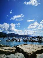 Foto av en vibrerande hamn scen med talrik båtar mot en bakgrund av klar blå himmel