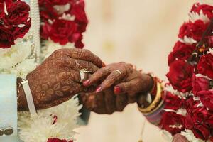 indisk brudgum och brud hand i hand som visar ringa foto