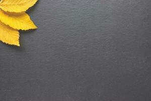 gul falla löv i hörn på svart bakgrund. höst ram layout. baner eller meddelande styrelse mall. kopia Plats, falla begrepp foto