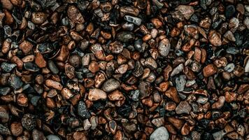grynig textur av grus och stenar foto