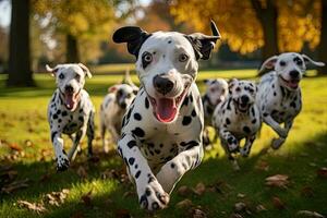 grupp av dalmatian hundar löpning i de parkera i höst, söt rolig dalmatian hundar grupp löpning och spelar på grön gräs i parkera i hösten, ai genererad foto
