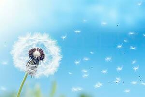 maskros blomma med flygande frön på blå himmel bakgrund. kopia Plats, stänga upp av maskros på de blå bakgrund, ai genererad foto