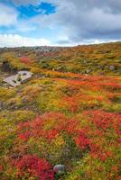 vackert naturlandskap på hösten foto