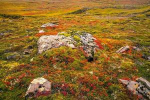 vackert naturlandskap på hösten foto