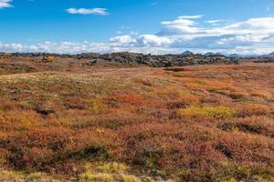 island vackert landskap, islandskt naturlandskap. foto