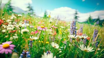 delikat färger en blommig skönhet av blomstrande vild ai genererad foto