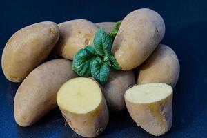 tysk potatis direkt efter skörd