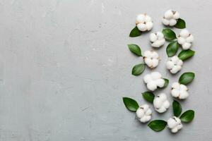 höst blommig platt lägga bakgrund sammansättning. torkades vit fluffig bomull blomma förgrena sig med grön blad topp se på färgad tabell med kopia Plats foto