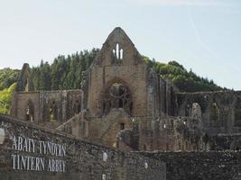 tintern abbey abaty tyndyrn i tintern foto