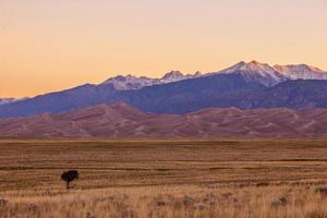 stora sanddyner nationalpark i Colorado foto